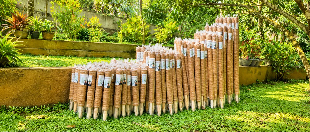 Coconut coir grow poles in assorted sizes arranged in a tropical garden